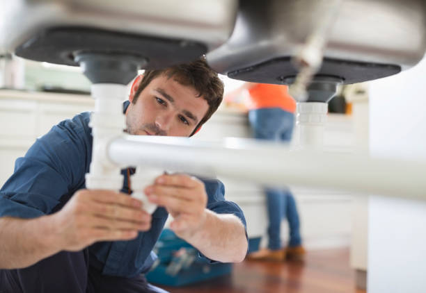 Best Clogged Drain Plumber  in Mount Carmel, OH